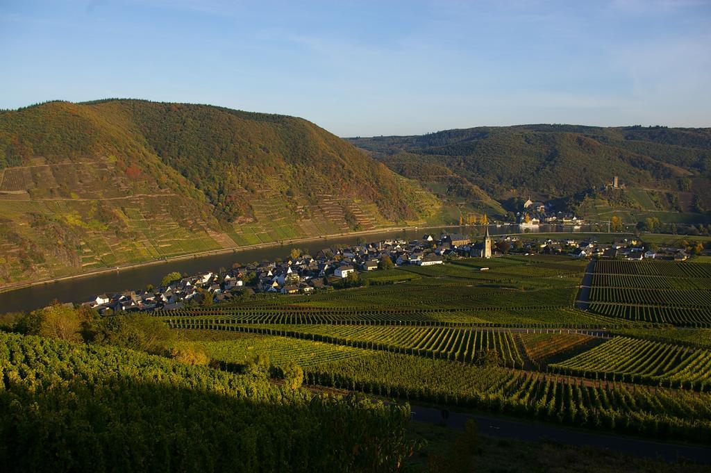 Ferien Weingut Schneider 3* Ellenz-Poltersdorf